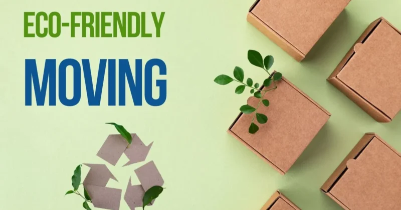 How to Plan an Eco-Friendly Move in Northern Virginia: Green Packing & Zero Waste