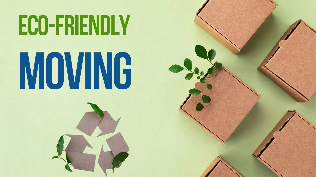 How to Plan an Eco-Friendly Move in Northern Virginia: Green Packing & Zero Waste