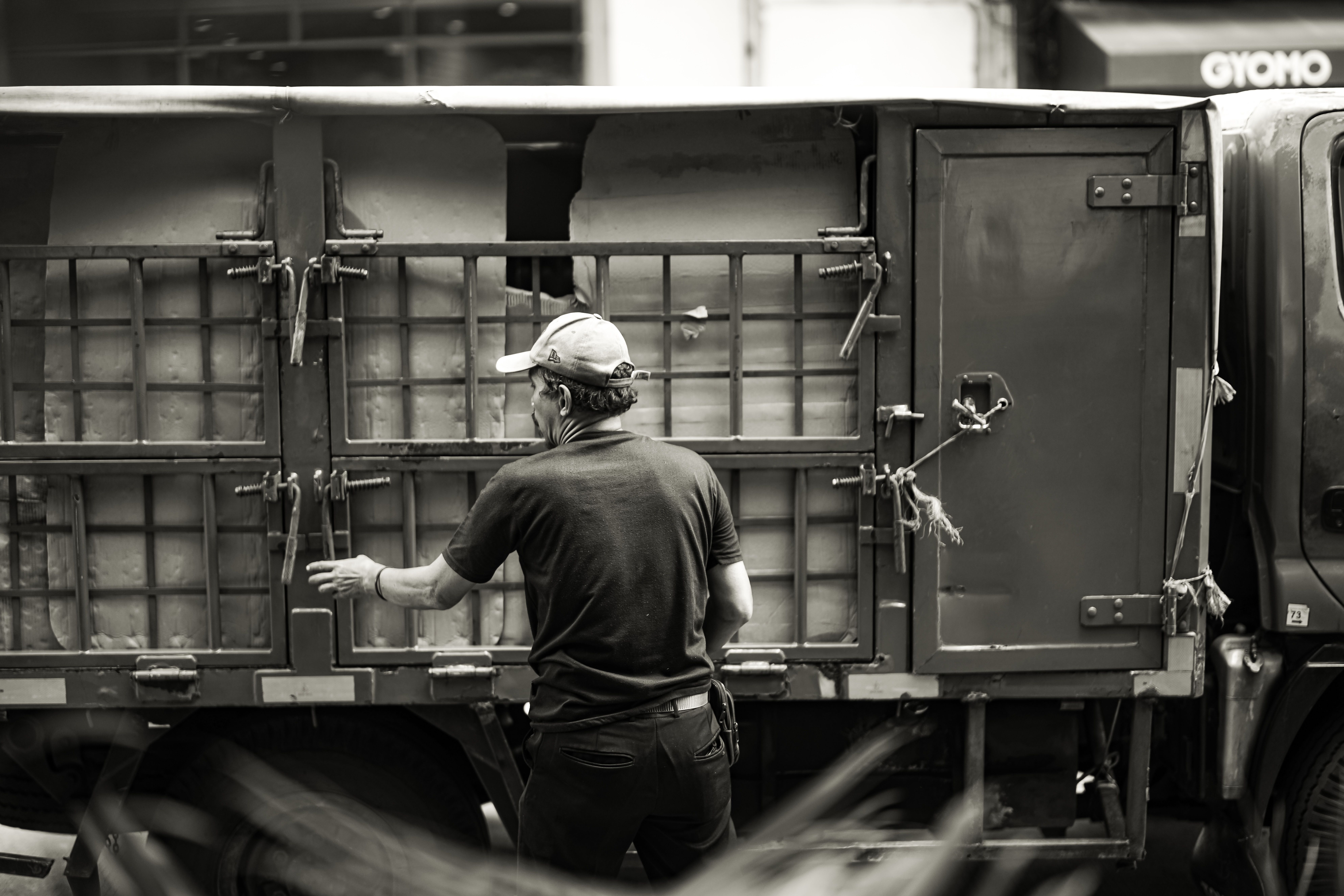Residential Moving Services in Arlington
